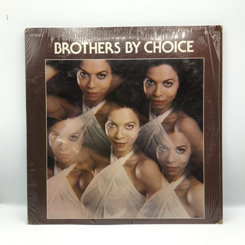 【LP】BROTHERS BY CHOICE / She Puts The Easo Back Into Easy (ALA-1983) US盤
