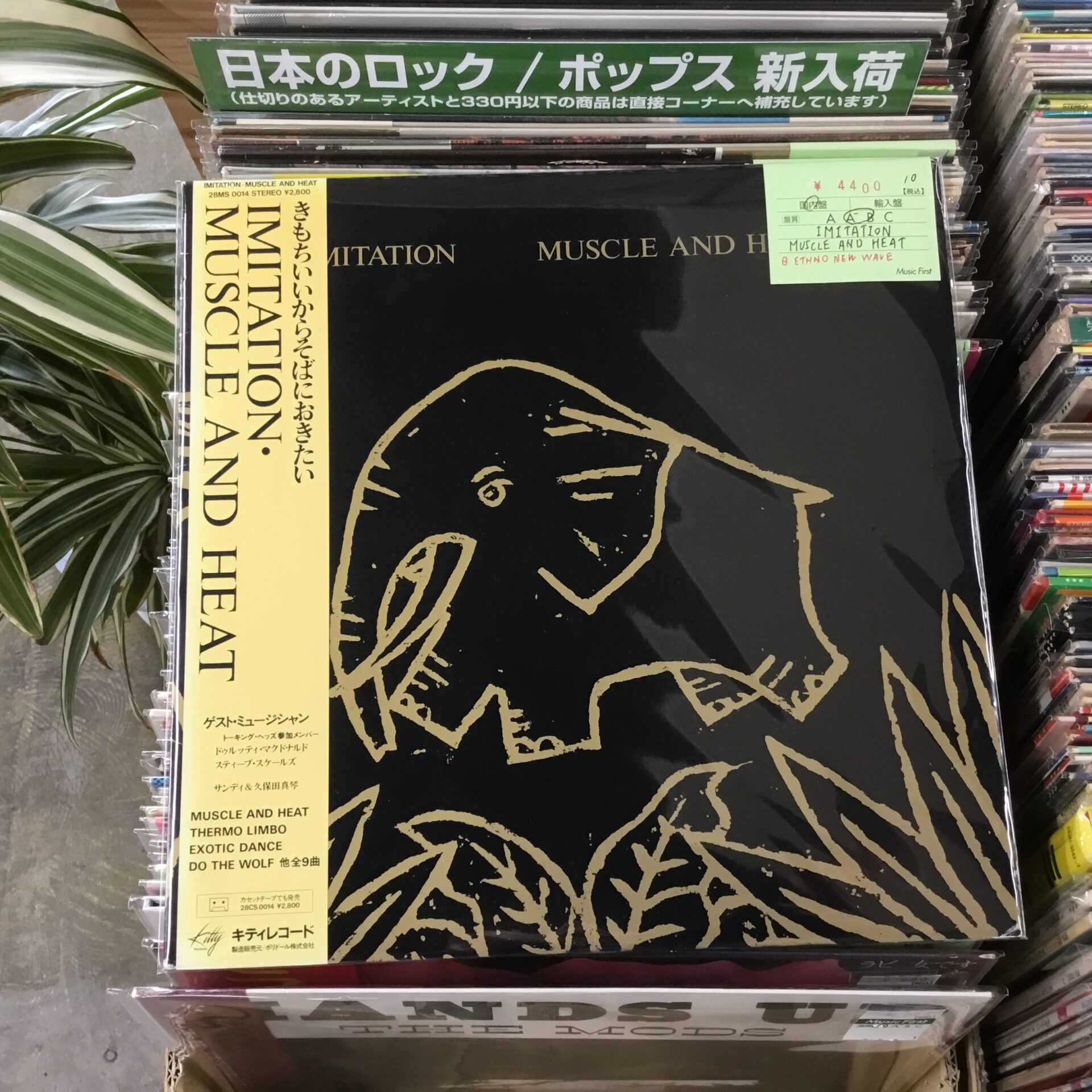 THE JOLT レコード　original 盤極美品 本日のおすすめ】 IMITATION / Muscle and Heat (1982)