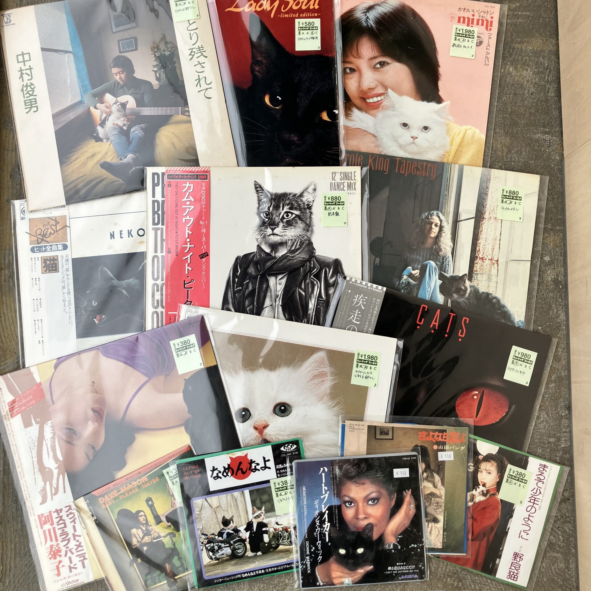 【新入荷情報】猫ジャケットLPが入荷しました。