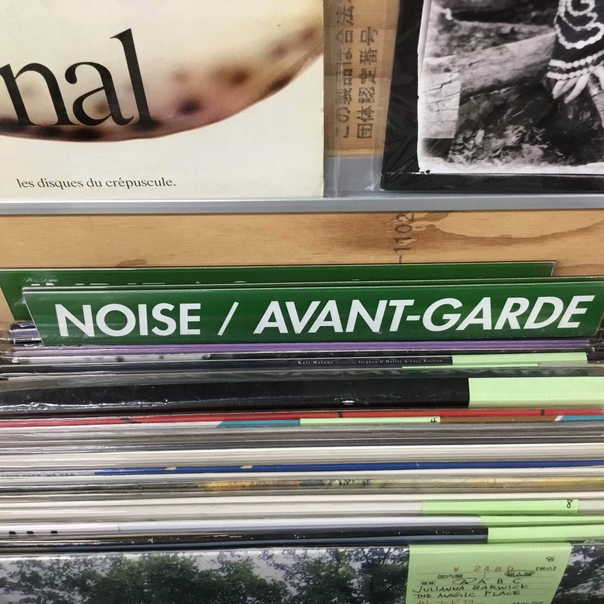 【店員の一口メモ】 個人的一押し、NOISE／AVANT-GARDEコーナー。