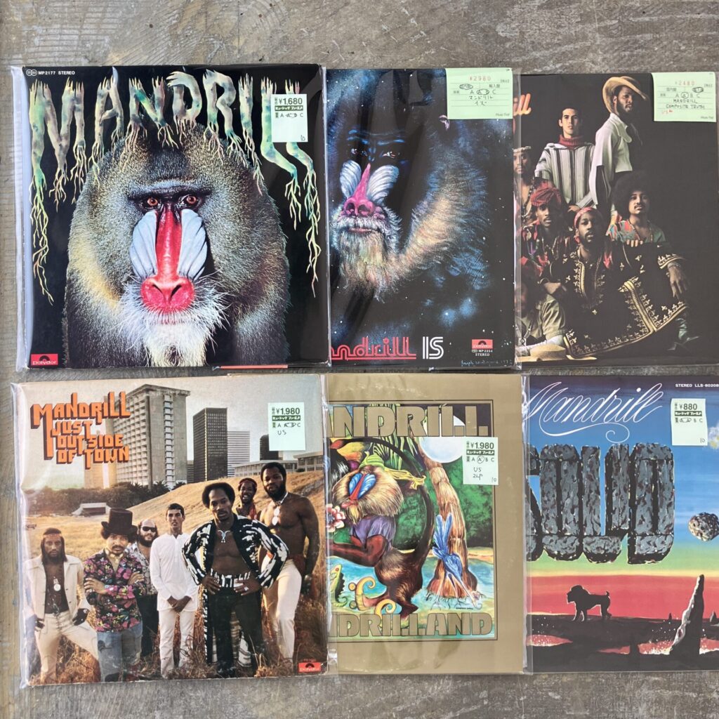 【新入荷情報】マンドリルのLPが入荷しました。