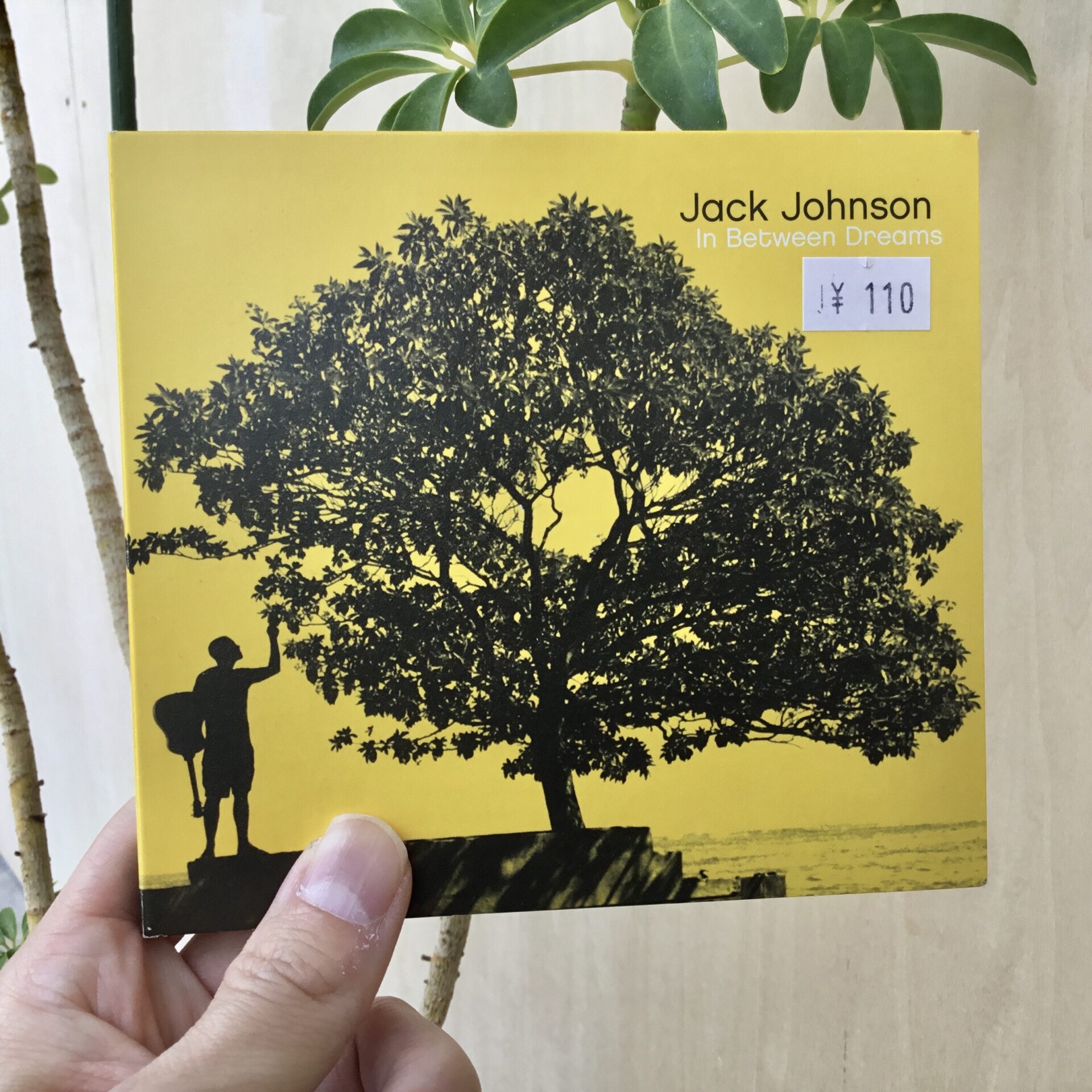 【本日のおすすめ】Jack Johnson / In Between Dreams (2005)