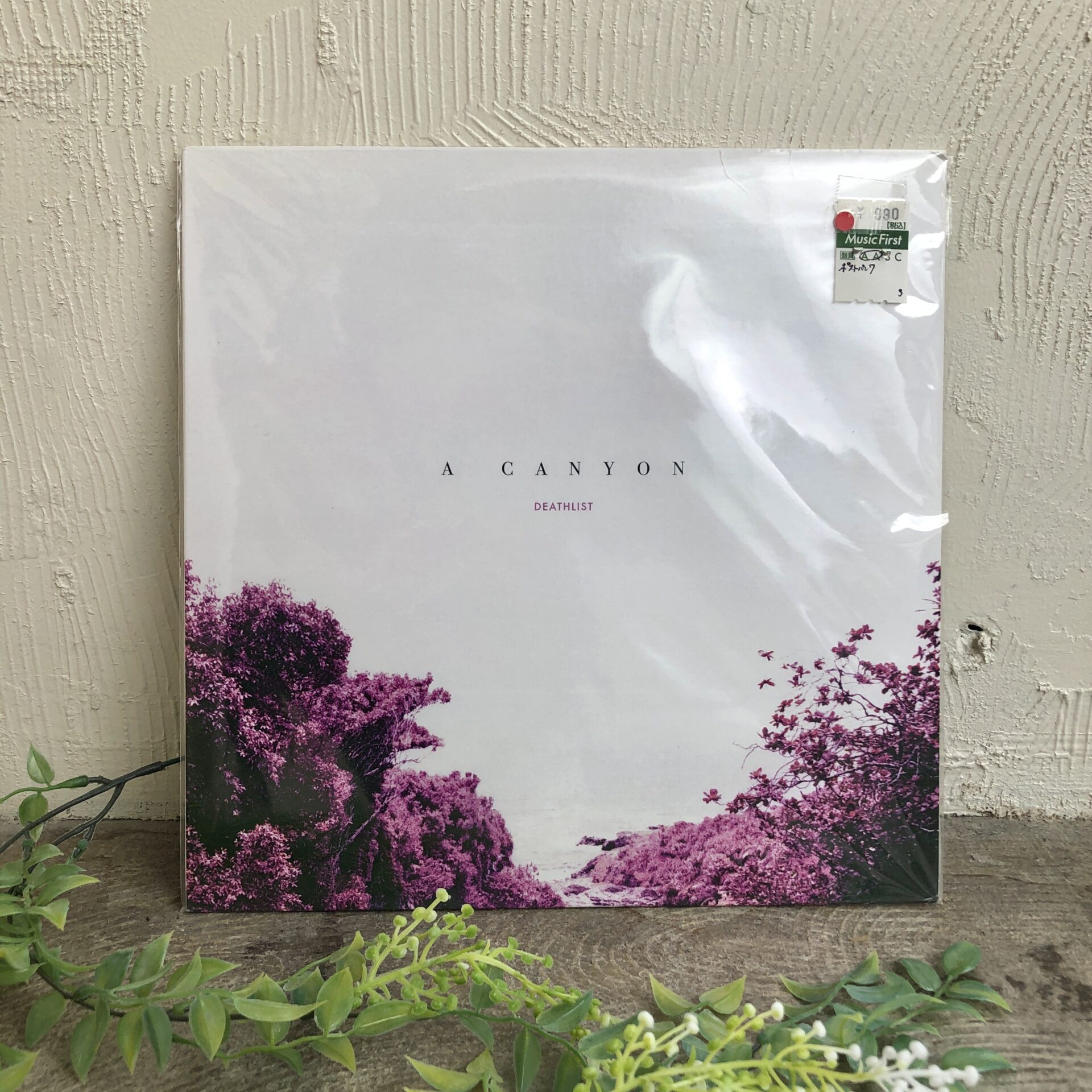 【本日のオススメ】 Dethlist/A Canyon（2019)