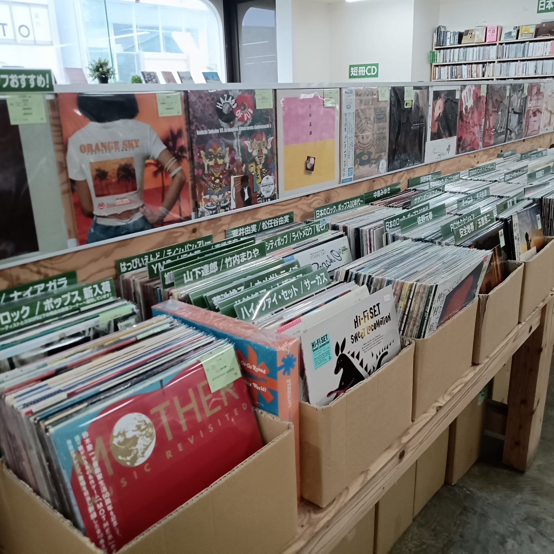 新入荷コーナー便り：7月13日(月) 曇り