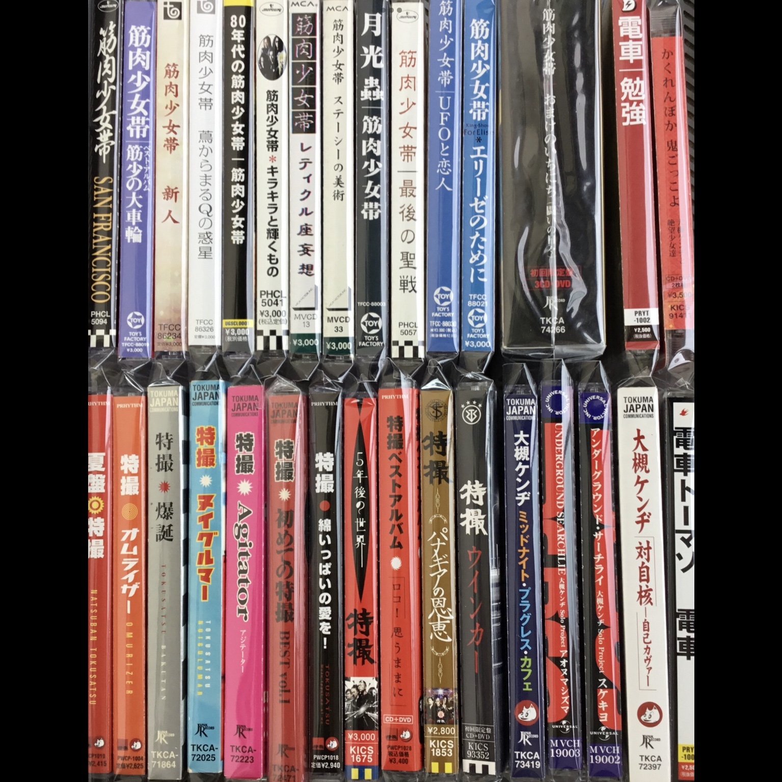 【新入荷情報】 大槻ケンヂ関連のCDがまとまって入荷しました。