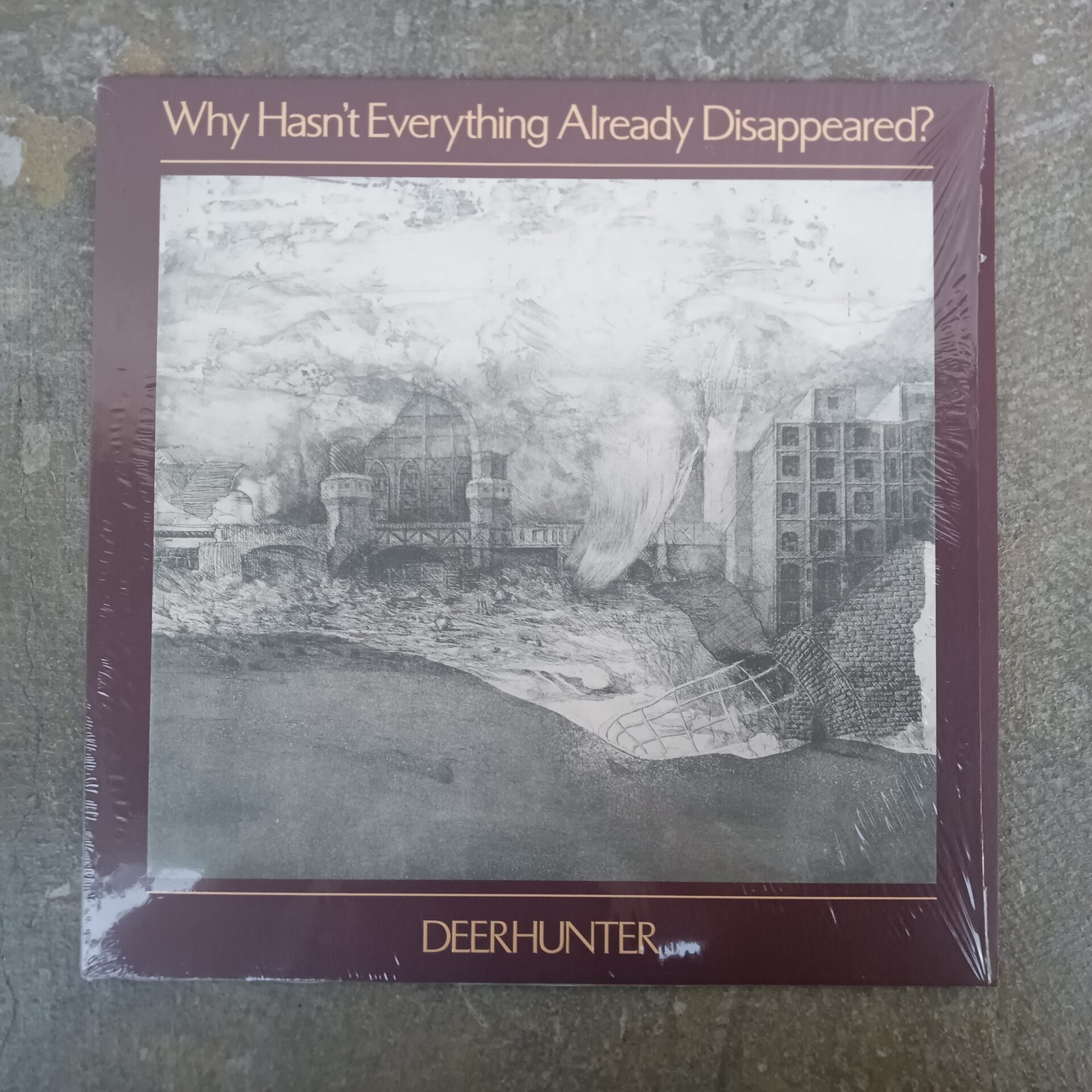 【本日のオススメ】Deerhunter / Why Hasn’t Everything Already Disappeared? (2019)
